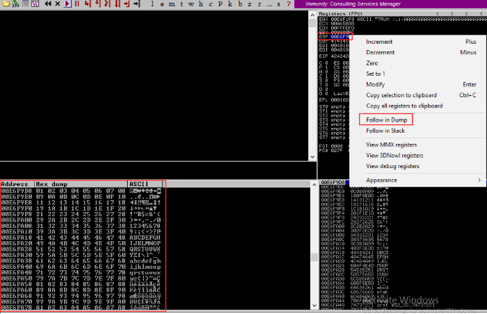 Immunity Debugger Hexdump