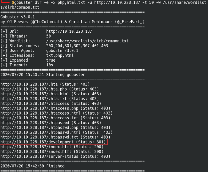 Gobuster Results