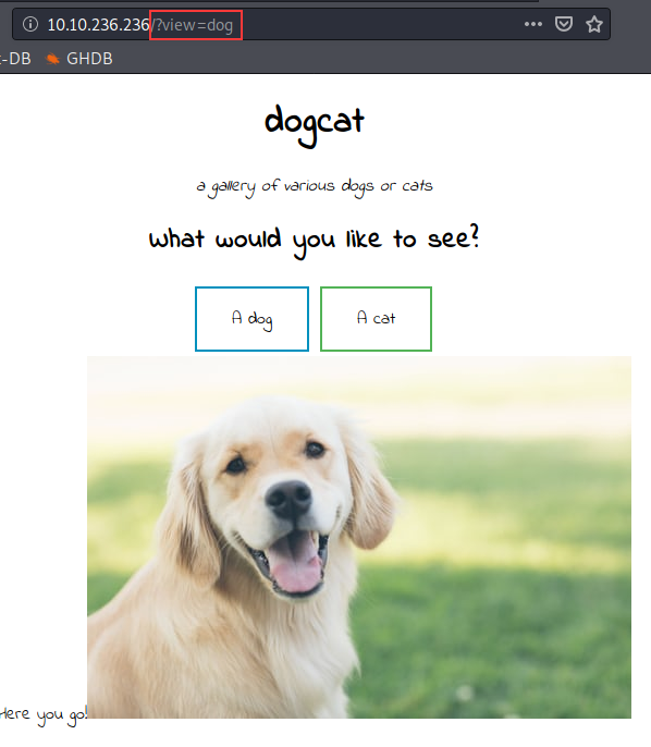 Main Dogcat webpage