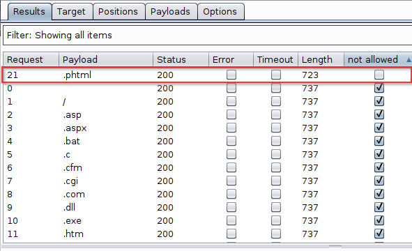 BurpSuite Intruder Results