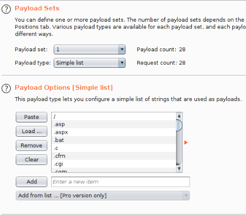 BurpSuite Intruder Payload