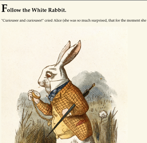 Follow the Rabbit