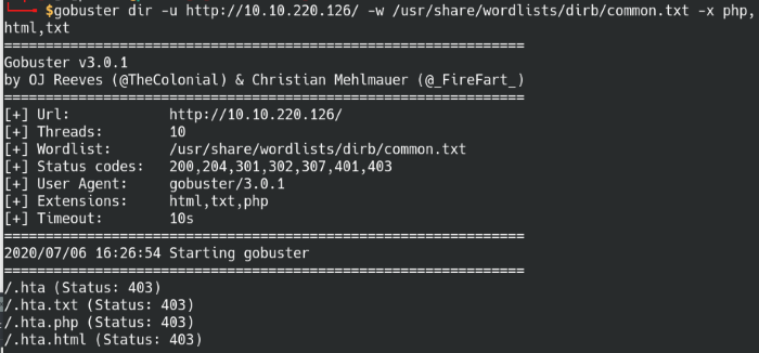 Gobuster directory search